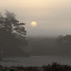 sunset-rhenen.jpg